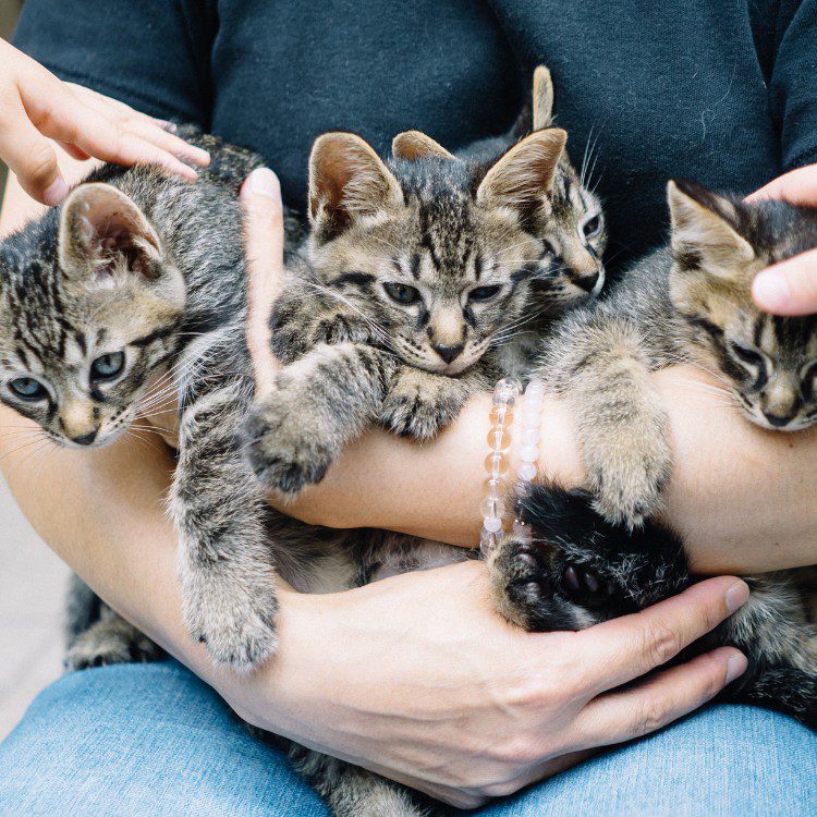 Waste Management in College Station, TX
